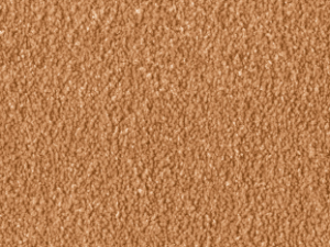 Alba_1Q10