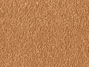 Alba_1Q10