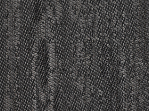 EBONY